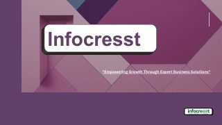 Expert Business Plan Consultant in India | Infocrest Solutions