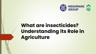 What are insecticides