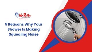 5 Reasons Why Your Shower Is Making Squealing Noise