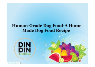 Human-Grade Dog Food-A Home Made Dog Food Recipe