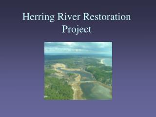 Herring River Restoration Project