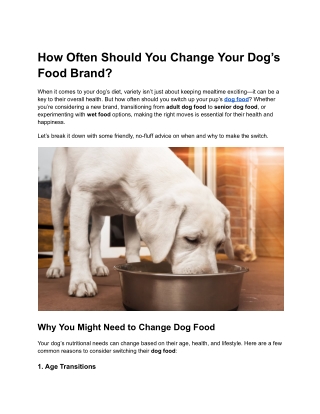 How Often Should You Change Your Dog’s Food Brand?