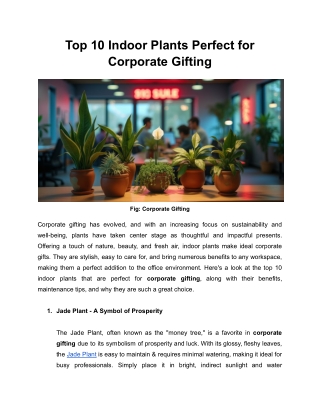 Top 10 Indoor Plants Perfect for Corporate Gifting