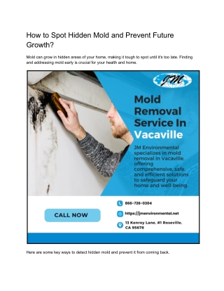 How to Spot Hidden Mold and Prevent Future Growth