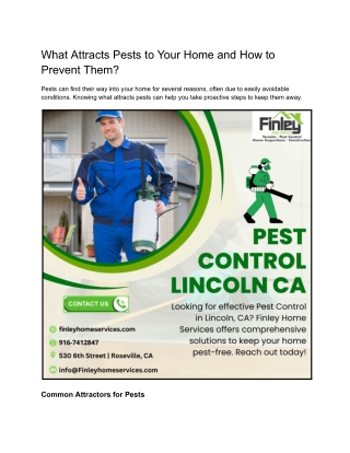 What Attracts Pests to Your Home and How to Prevent Them