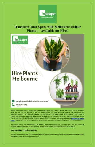 Transform Your Space with Melbourne Indoor Plants — Available for Hire!