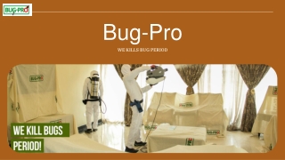 Reliable Pest Control in Nigeria – Bug-Pro's Trusted Solutions