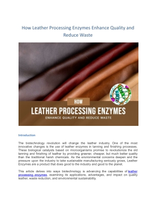 How Leather Processing Enzymes Enhance Quality and Reduce Waste