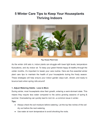 Essential Tips for Keeping Your Houseplants Healthy in Winter