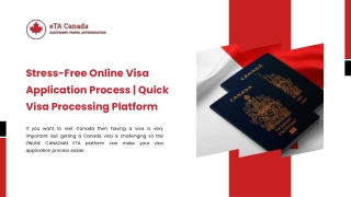 Stress-Free Online Visa Application Process Quick Visa Processing Platform