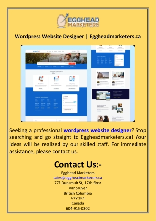Wordpress Website Designer  Eggheadmarketers.ca