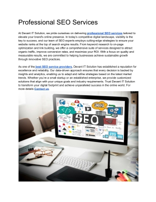 Professional SEO Services