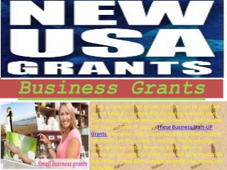 Meet the Business Grants and Government Business Grants With