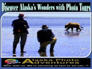 Discover Alaska’s Wonders with Photo Tours