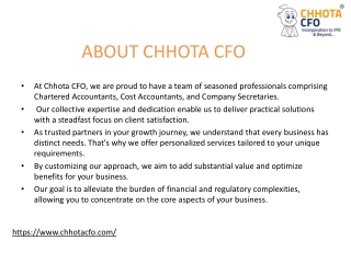 Chhota CFO: Professional CFO services for your business