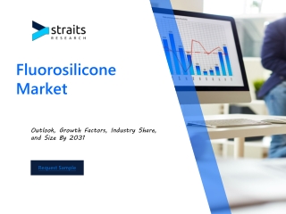 Global Fluorosilicone Market Overview : Size, Share, and Future Trends Forecast