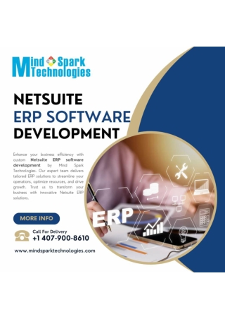 Custom ERP software development company in Orlando, Florida: Mind Spark Technolo