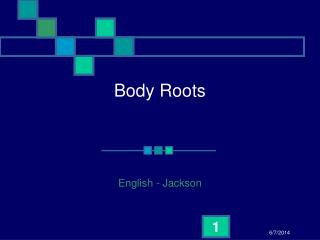 Body Roots