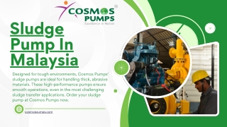 Sludge Pump In Malaysia