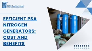 Efficient PSA Nitrogen Generators: Cost and Benefits