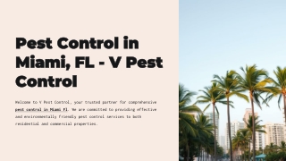 Pest Control in Miami, FL – V Pest Control