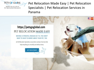 Pet relocation services in Panama