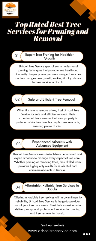 Top Rated Best Tree Services for Pruning and Removal