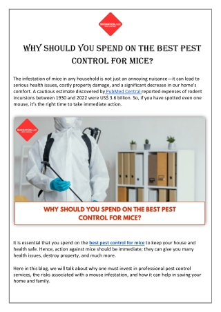 Why Should You Spend On the Best Pest Control for Mice