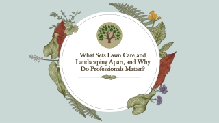 What Sets Lawn Care and Landscaping Apart, and Why Do Professionals Matter?