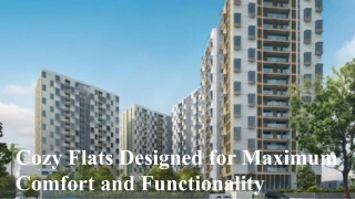 Cozy Flats Designed for Maximum Comfort and Functionality