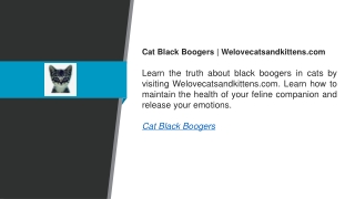 Cat Black Boogers  Welovecatsandkittens.com