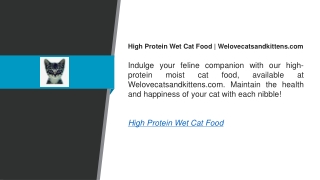 High Protein Wet Cat Food  Welovecatsandkittens.com