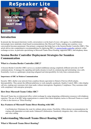 “Session Border Controller Deployment Strategies for Seamless Communication”