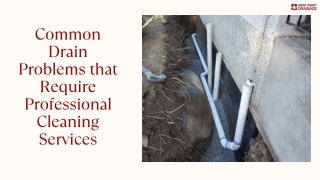 Common Drain Problems that Require Professional Cleaning Services