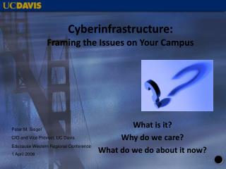 Cyberinfrastructure: Framing the Issues on Your Campus