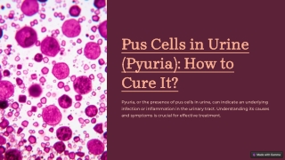 Pus-Cells-in-Urine-Pyuria-How-to-Cure-It