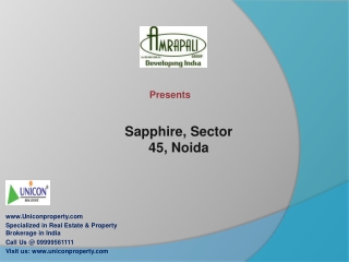 Amrapali Sapphire Noida