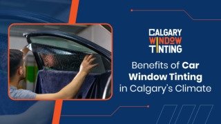 Benefits of Car Window Tinting in Calgary’s Climate