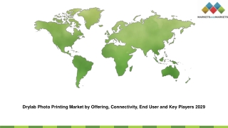 Drylab Photo Printing Market