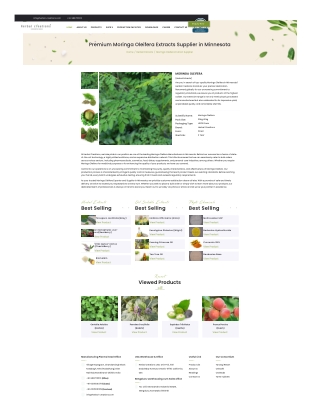 Premium Moringa Oleifera Extracts Supplier in Minnesota