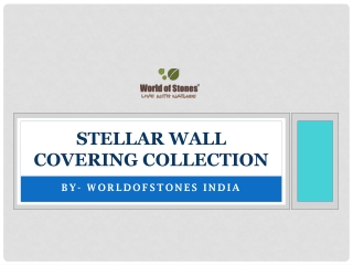 Stellar Wall Covering Collection: Best Wall Designs