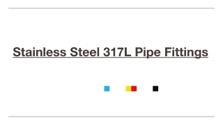 Stainless Steel 317L Pipe Fittings