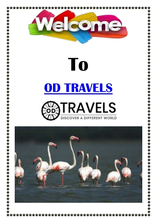 OD Travels- A Journey Through Puri to Chilka Lake’s Natural Wonders