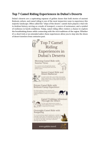 Top  7 Camel Riding Experiences in Dubai