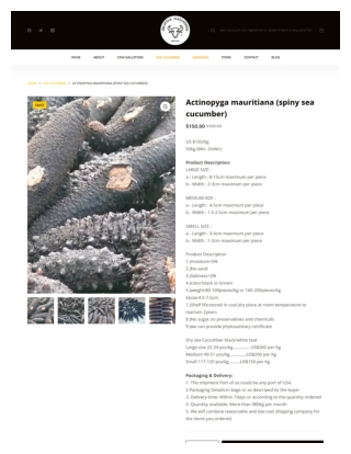 Actinopyga mauritiana (spiny sea cucumber) - oxcattlegallstones.com
