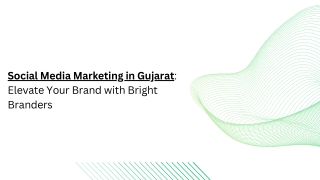 Social Media Marketing in Gujarat Elevate Your Brand with Bright Branders