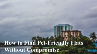 How to Find Pet-Friendly Flats Without Compromise