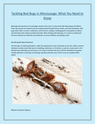 Tackling Bed Bugs in Mississauga What You Need to Know