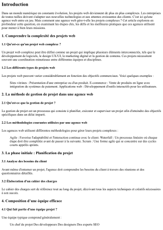 Comment une agence web gère-t-elle les projets complexes ?