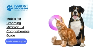 Mobile Pet Grooming Miramar – A Comprehensive Guide